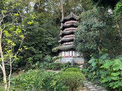 -深圳国际园林花卉博览园