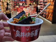 -黑色经典臭豆腐·湖南特产(坡子街店)