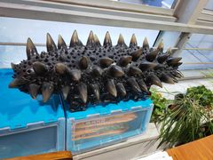 -宫品海参专卖店(静安大宁店)