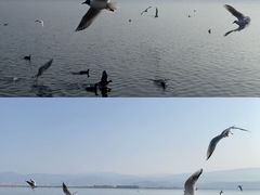 -西昌邛海湿地