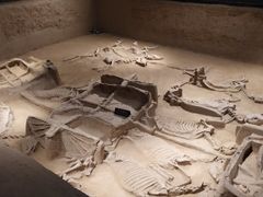 -洛阳周王城天子驾六博物馆