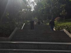 -神光山国家森林公园