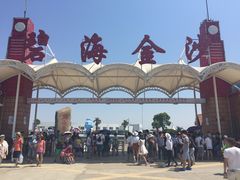 -碧海金沙