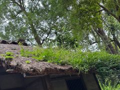 -成都杜甫草堂博物馆