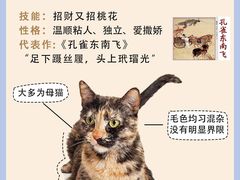 -翊宠yipet猫狗购宠庄园犬舍•猫舍