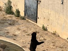 -石家庄市动物园