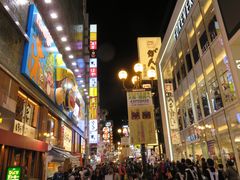 -蟹道乐(道顿堀本店)