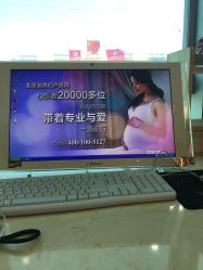 -北京安琪