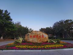 -大亚湾红树林城市湿地公园