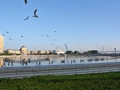 -星海广场