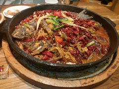 -老板恋上鱼(印象城店)