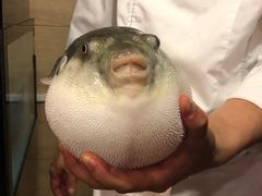 -天正河鲀·河豚亭(大连店)