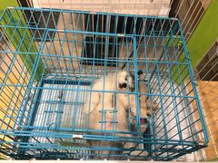 -龟与熊猫宠物公园(南坪店)