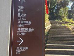 -大罗山风景区