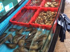 iphone_upload_pic-新河畔海鲜酒楼(虎门店)