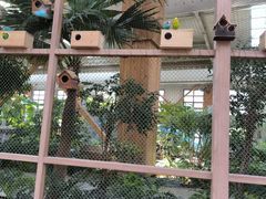 -南宫五洲植物乐园