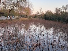 -溱湖国家湿地公园