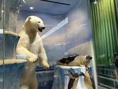 -国家自然博物馆