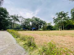 -南宁良凤江国家森林公园