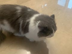 -悠尼宠物·独立低压伊珊娜洗护·美容·寄养(兰谷路店)