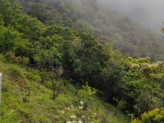 -梧桐山风景名胜区