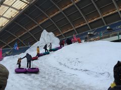 -沈阳奥体冰雪嘉年华