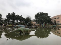 -自贡恐龙博物馆