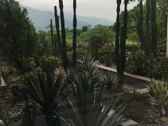 -福建鲤鱼洲酒店