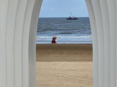-日照海滨国家森林公园