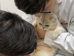 -惠康宠物医院(华能路店)