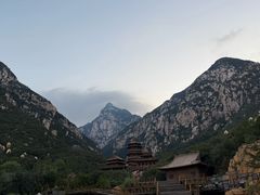 -禅宗少林·音乐大典