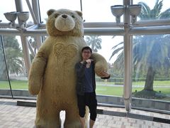 -济州岛泰迪熊博物馆