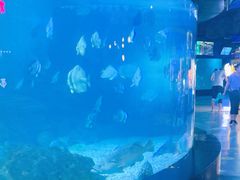 -烟台海昌鲸鲨海洋公园