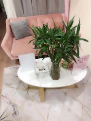 -MJ美肌专业皮肤管理中心