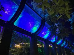 -花水湾第一村温泉大酒店