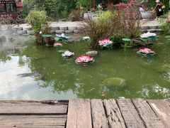 -青瓦房古村落