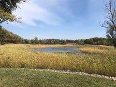 -野鸭湖国家湿地公园