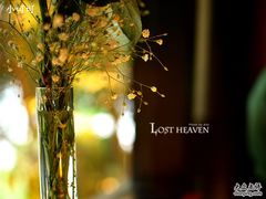 ally9-花马天堂云南餐厅 Lost Heaven(高邮路店)