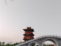 -清明上河园