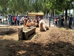 -长白岛森林公园