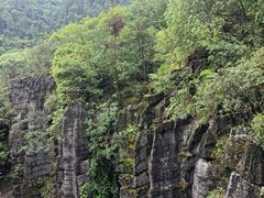 -梭布垭石林景区