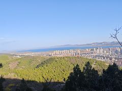 -府君山公园