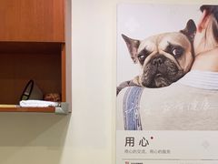 -艾贝尔宠物医院·24H转诊中心·肿瘤猫专科(江宁双龙店)