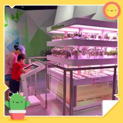 -北京科学中心儿童乐园