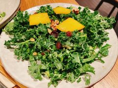 -Wagas沃歌斯(汇智店)