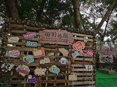 -光明小镇欢乐田园