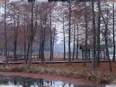 -梁鸿国家湿地公园