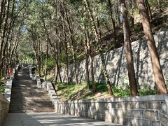 -四门塔风景区