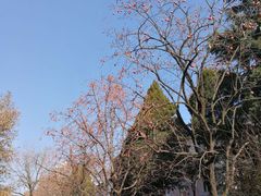 -陕西师范大学(雁塔校区)