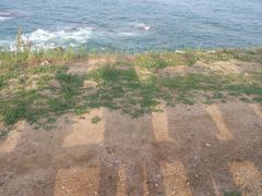 -燕儿岛山公园